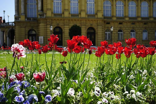 Festival de las Flores en Zagreb