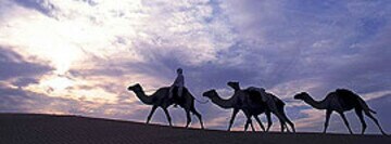 Hoteles ‘oasis’, nuevas experiencias en el desierto