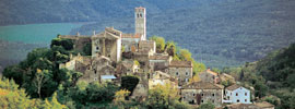 Otoño trufero en Istria 