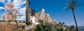 Almendros en flor en el valle de Guadalest