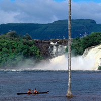 Un trocito del paraíso de la selva venezolana