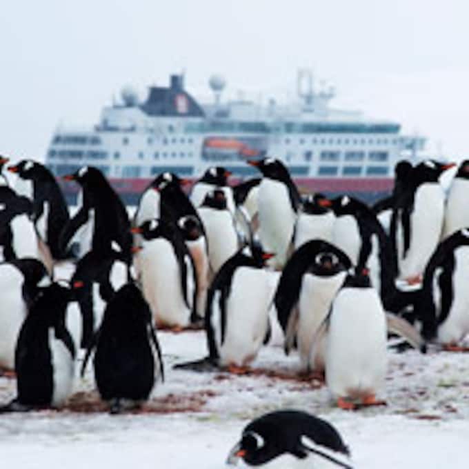 Acampar en las tierras heladas de la Antártida no es un sueño 
