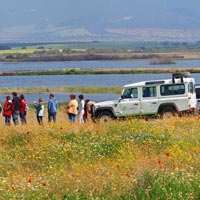 Una escapada a las Tablas de Daimiel para despedir a la primavera