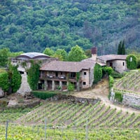 Por los caminos del Ribeiro en Galicia