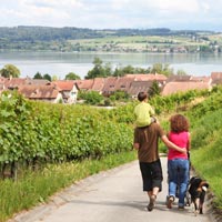 Mariposas, vinos y un crucero por tres lagos