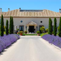 Bodegas de famosos que se apuntan a la fiebre del vino