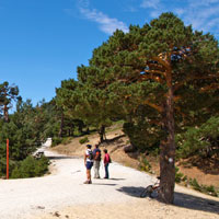 Otoño con las botas puestas por la sierra de Guadarrama