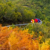 Estrenamos el otoño en el bosque encantado de Muniellos 