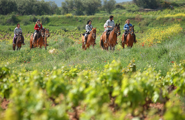 Enoturismo-Rioja