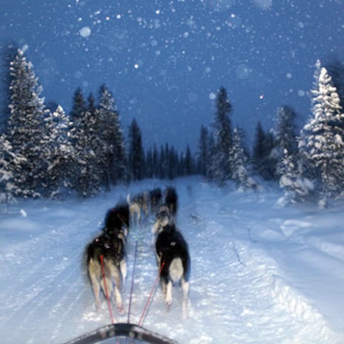 Aventuras a cero grados en la Laponia sueca para tus vacaciones de invierno 