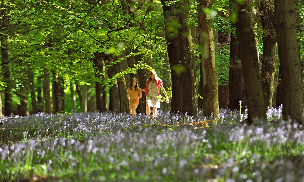 Top 10 de lugares más coloridos para estrenar la primavera