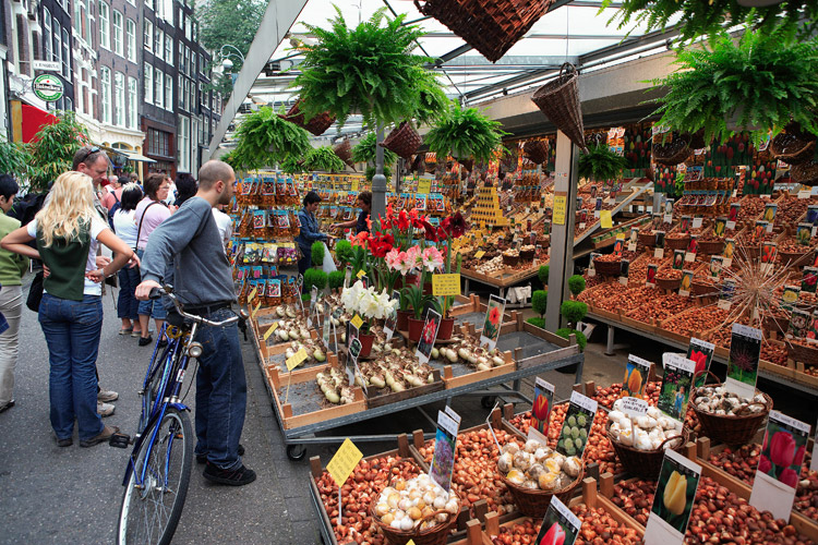 Amsterdam-bici