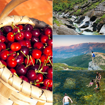 Celebramos el verano con planes entre cerezas del Jerte