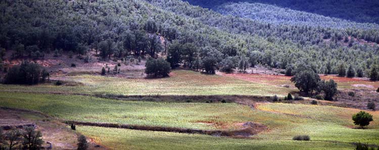 escapada-otono-anades