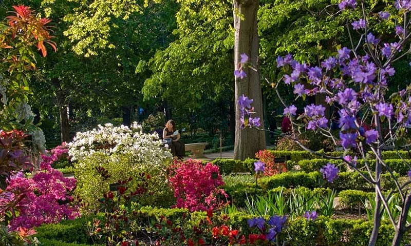 madrid-en-primavera