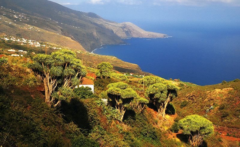 Planes imprescindibles en La Palma