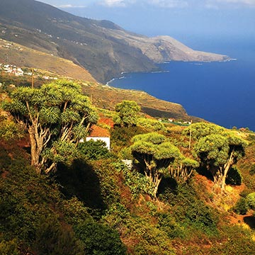 Planes imprescindibles en La Palma