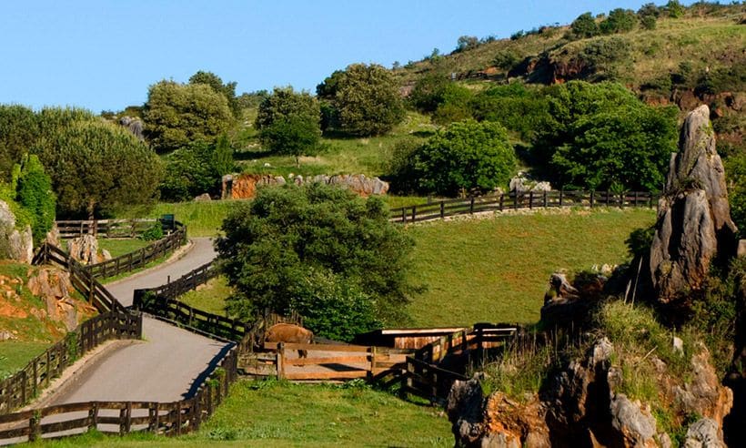 visita-cabarceno-cantabria