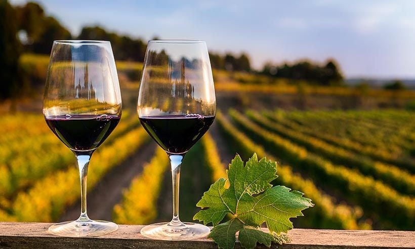 Catas en bodegas, paseos entre viñedos, fiestas de la vendimia... ¡Nos vamos de enoturismo a Barcelona!