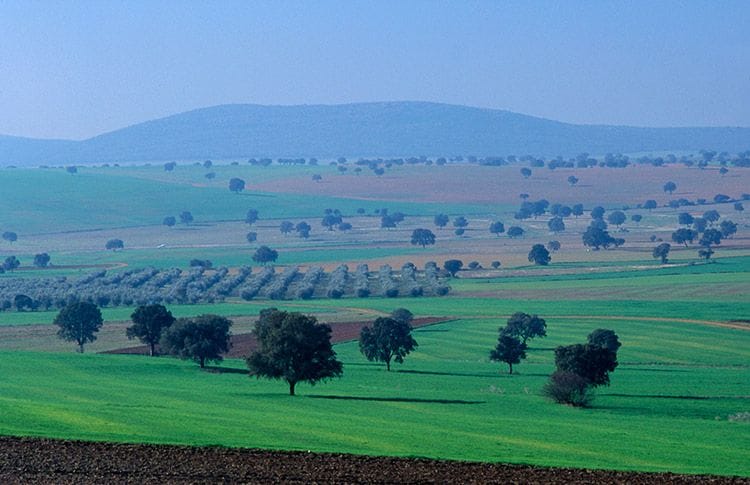 cabaneros-ciudad-real