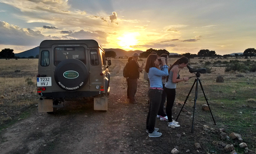 Con los niños por el Serengeti manchego