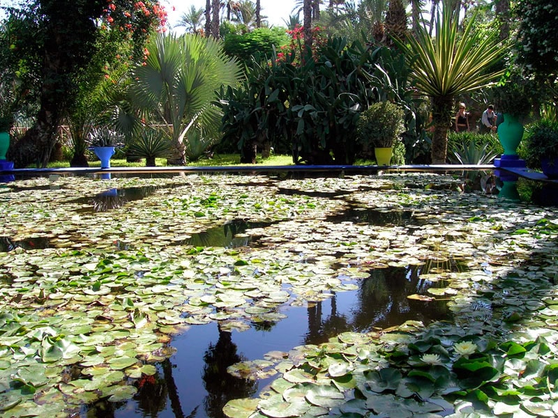 jardines-majorelle-marrakech