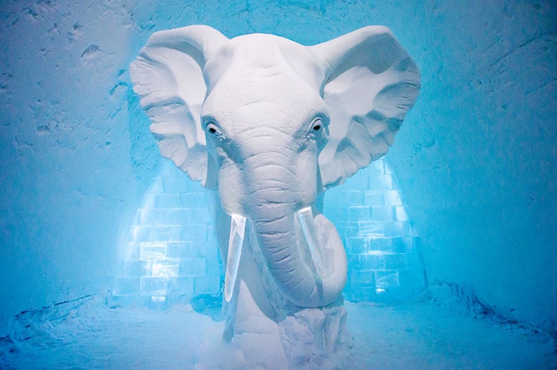 art-suite-elephant-in-the-room-icehotel-sweden