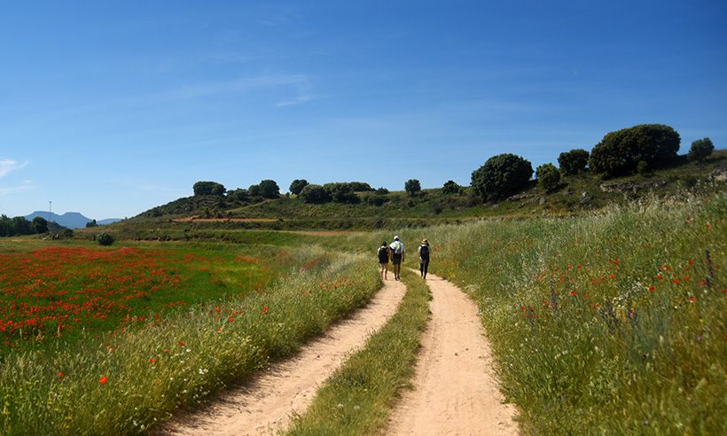 Viaje a La Alcarria, en versión siglo XXI