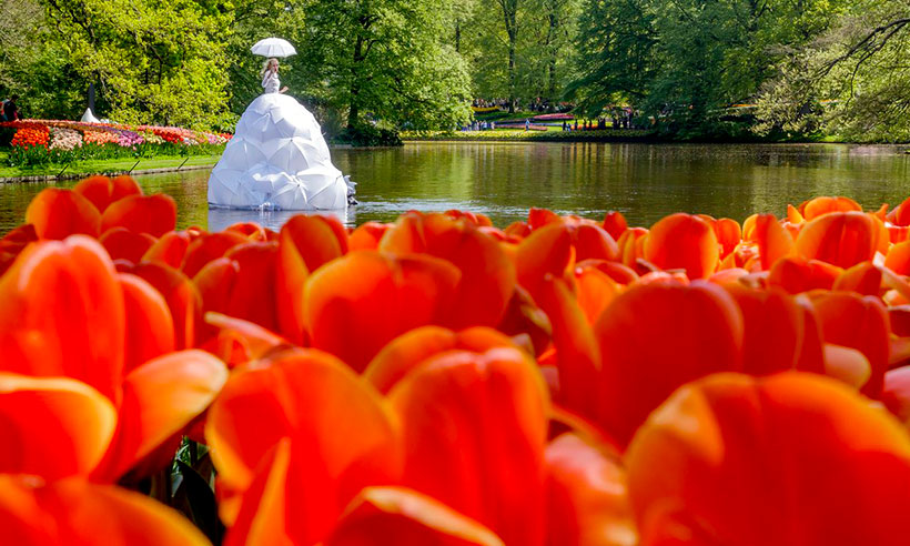 Keukenhof, el jardín más colorido de Europa en primavera 