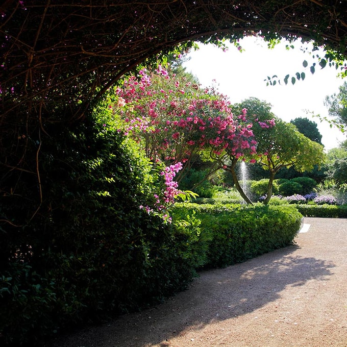 Los jardines del palacio de Marivent, abiertos al paseo