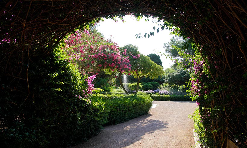 Los jardines del palacio de Marivent, abiertos al paseo