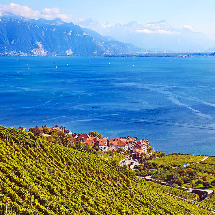 Lo mejor de Suiza en imágenes, fotos que inspiran un viaje (o más)