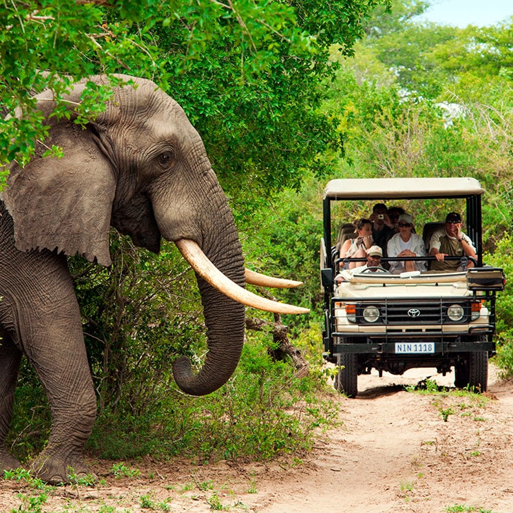 escursione safari sudafrica