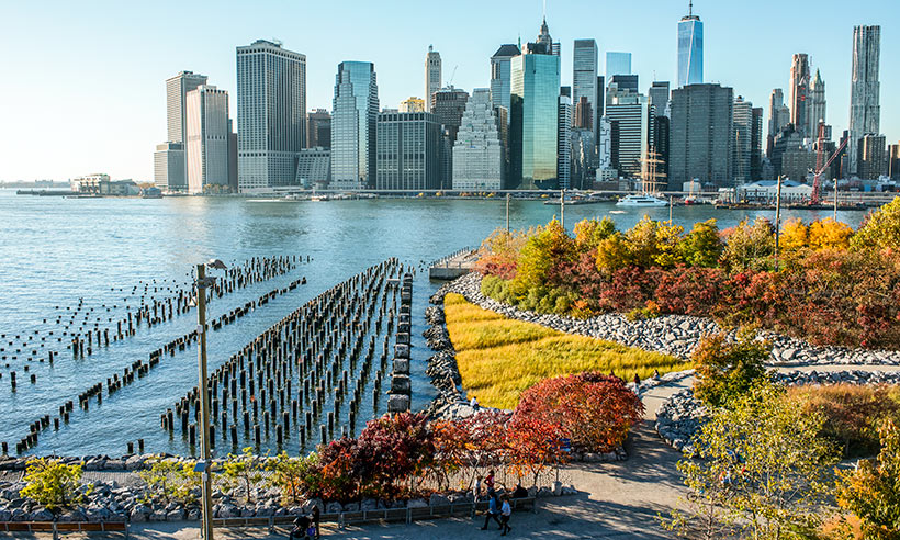 Amor por Nueva York en otoño