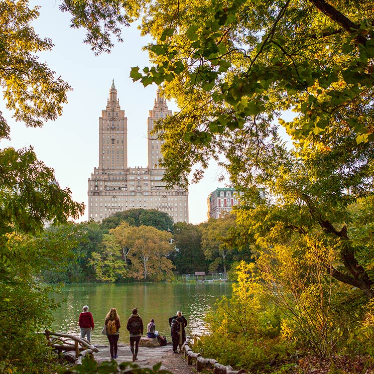 Amor por Nueva York en otoño