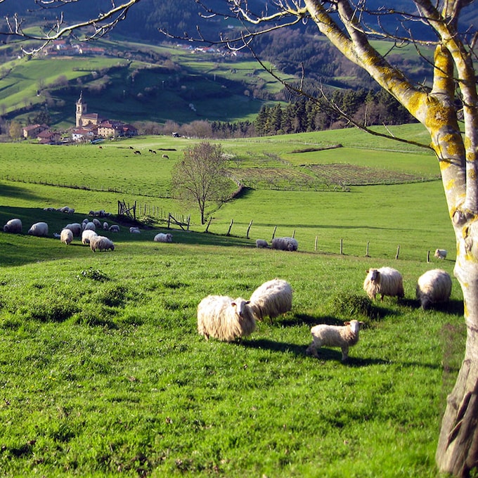 Siete experencias auténticas para vivir en Gorbeia, el corazón verde del País Vasco
