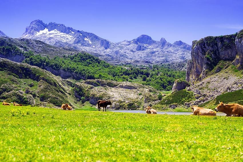 picos de europa lagos covadonga