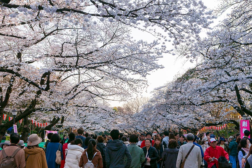 tokio parques Ueno