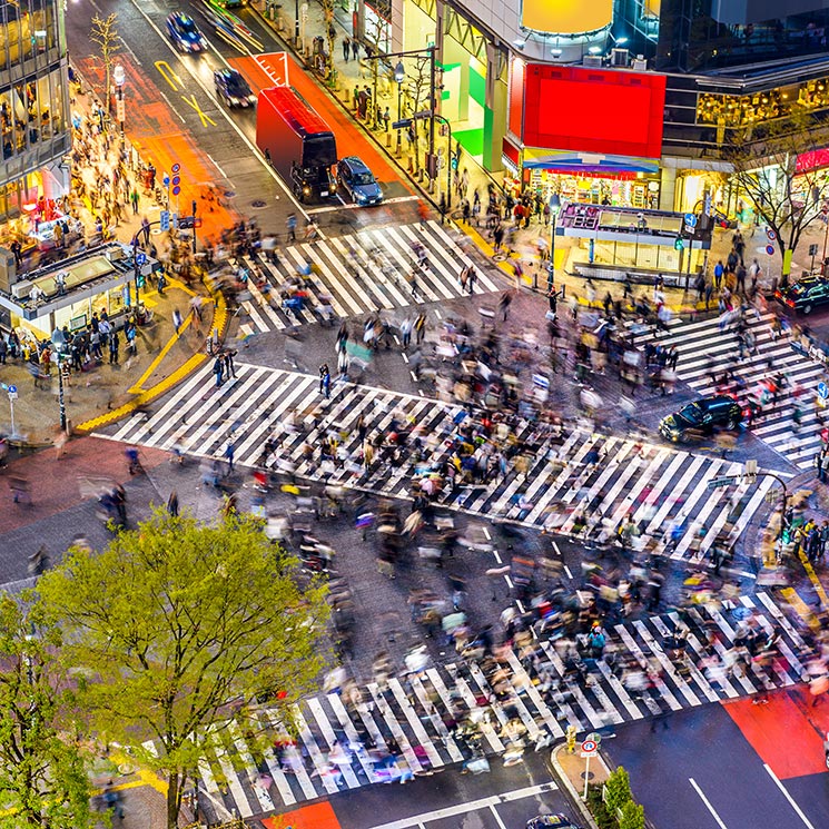 Tokio barrio a barrio, del glamour de Ginza a las alturas de Shinjuku