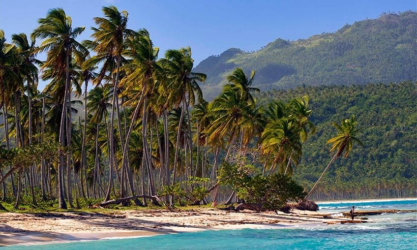 Samaná: playas de postal, cocoteros, sabor caribeño y… ¡ballenas!