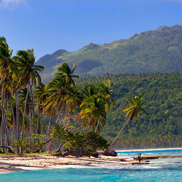 Samaná: playas de postal, cocoteros, sabor caribeño y… ¡ballenas! 