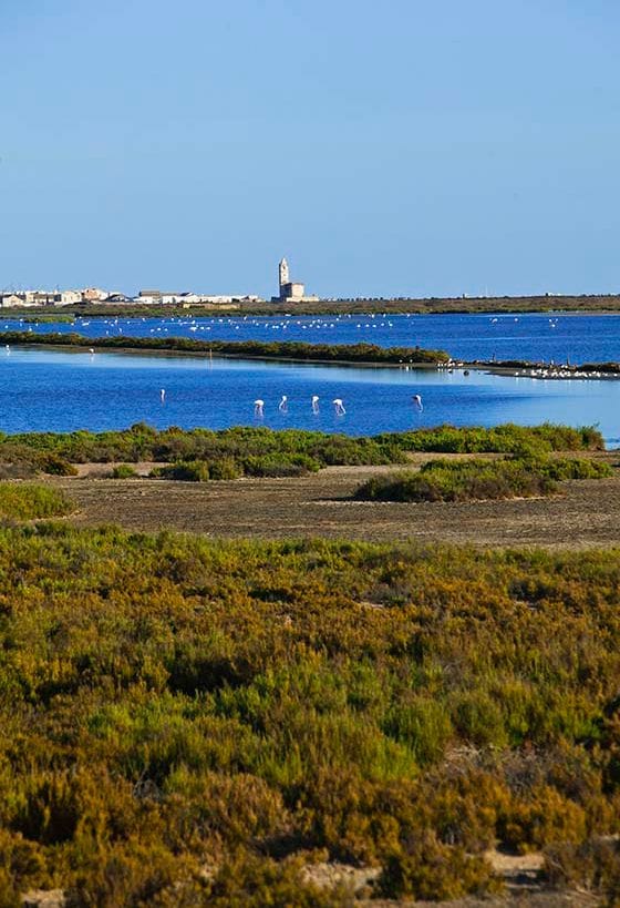 salinas-faros-costa-almeria_a