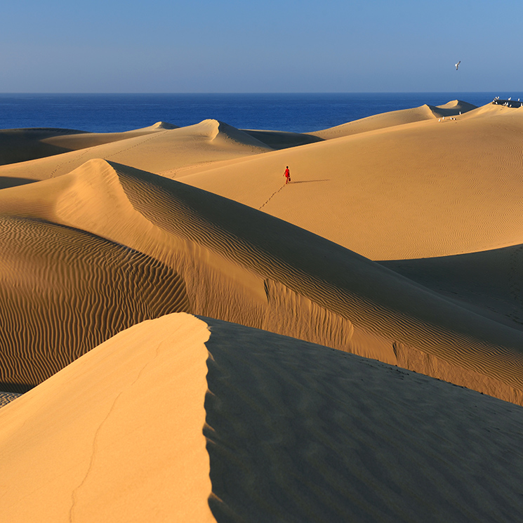 Del mar a la cumbre, una ruta en coche de Maspalomas al Roque Nublo y más allá