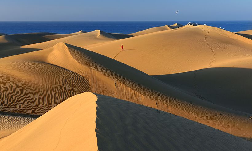 Descubre la majestuosidad de Gran Canaria 