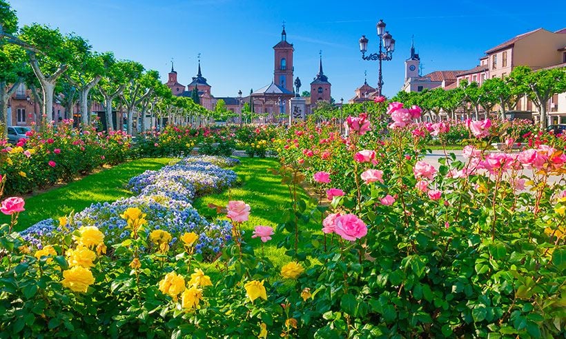 Diferentes planes para disfrutar de la ciudad de Alcalá de henares