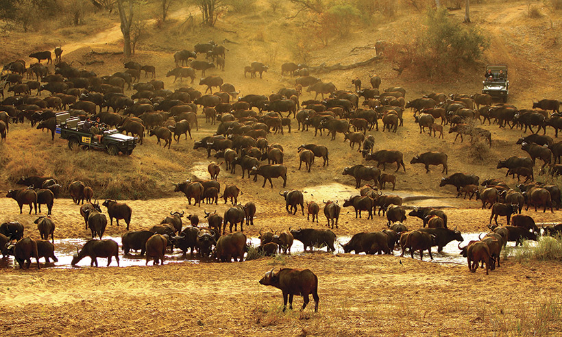 La experiencia de alojarte en una reserva privada en África