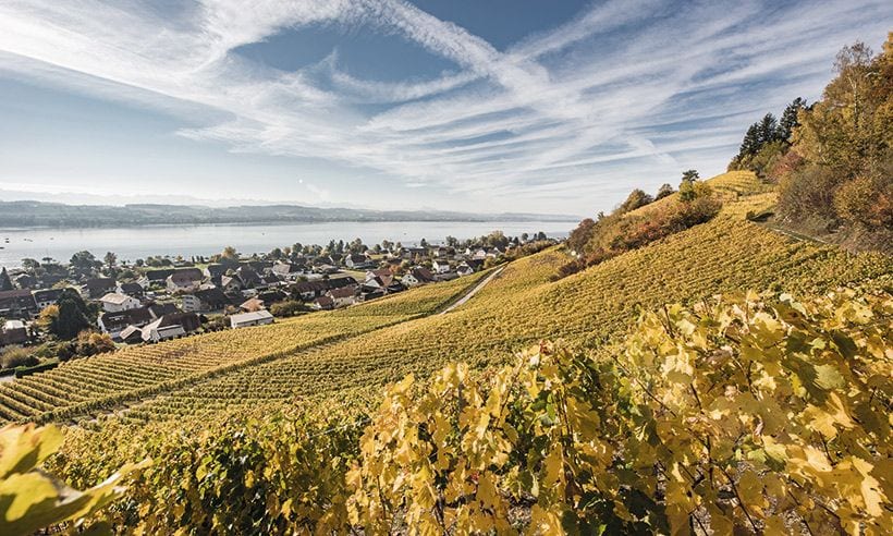Friburgo En 8 Experiencias O Como Sacarle Partido A Esta Region Suiza