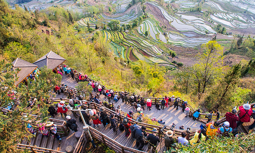 El paisaje de arrozales de China que parece un cuadro