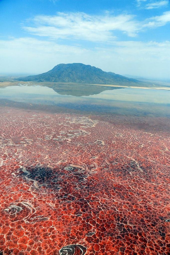 lago natron lago natron