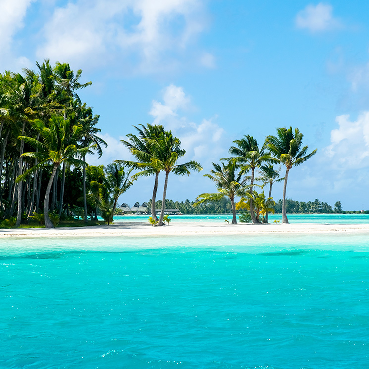 Siete excursiones desde Cancún y las mejores actividades para disfrutar del Caribe
